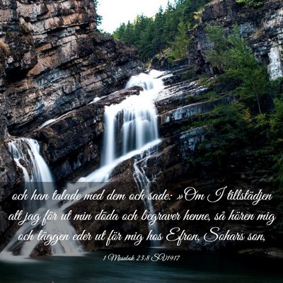 Picture 03 - 1 Mosebok 23:8 SV1917 - och han talade med dem och sade: »Om I - Bible Verse Picture