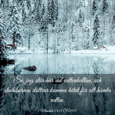 Picture 03 - 1 Mosebok 24:13 SV1917 - Se, jag står här vid vattenkällan, och - Bible Verse Picture