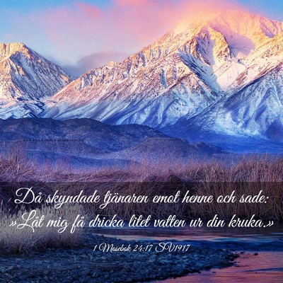 Picture 03 - 1 Mosebok 24:17 SV1917 - Då skyndade tjänaren emot henne och sade: - Bible Verse Picture