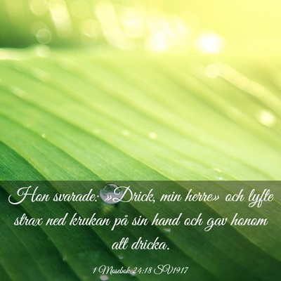 Picture 03 - 1 Mosebok 24:18 SV1917 - Hon svarade: »Drick, min herre» och lyfte strax - Bible Verse Picture