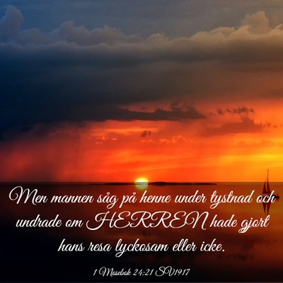 Picture 03 - 1 Mosebok 24:21 SV1917 - Men mannen såg på henne under tystnad och - Bible Verse Picture