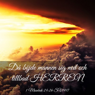 Picture 03 - 1 Mosebok 24:26 SV1917 - Då böjde mannen sig ned och tillbad - Bible Verse Picture