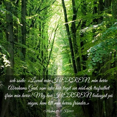 Picture 03 - 1 Mosebok 24:27 SV1917 - och sade: »Lovad vare HERREN, min herre Abrahams - Bible Verse Picture