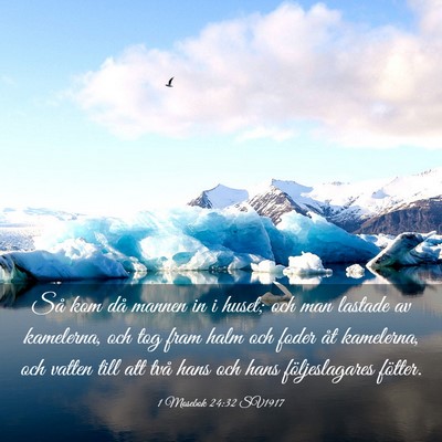 Picture 03 - 1 Mosebok 24:32 SV1917 - Så kom då mannen in i huset; och man lastade av - Bible Verse Picture