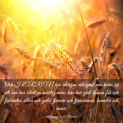 Picture 03 - 1 Mosebok 24:35 SV1917 - Och HERREN har rikligen välsignat min herre, så - Bible Verse Picture