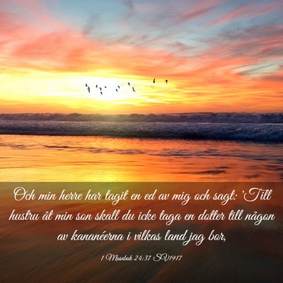 Picture 03 - 1 Mosebok 24:37 SV1917 - Och min herre har tagit en ed av mig och sagt: - Bible Verse Picture