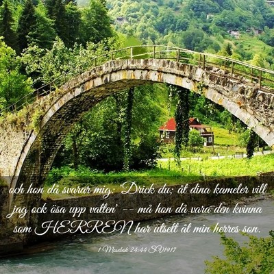 Picture 03 - 1 Mosebok 24:44 SV1917 - och hon då svarar mig: 'Drick du; åt dina - Bible Verse Picture