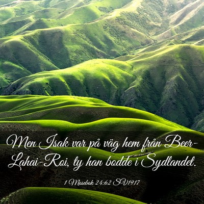 Picture 03 - 1 Mosebok 24:62 SV1917 - Men Isak var på väg hem från Beer-Lahai-Roi, - Bible Verse Picture