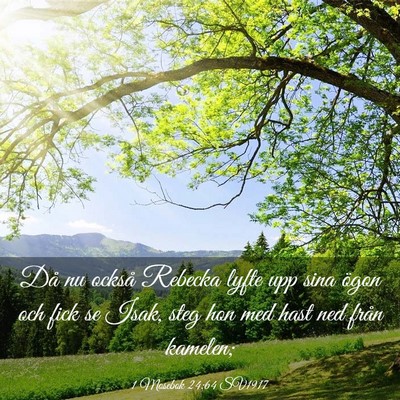 Picture 03 - 1 Mosebok 24:64 SV1917 - Då nu också Rebecka lyfte upp sina ögon och - Bible Verse Picture