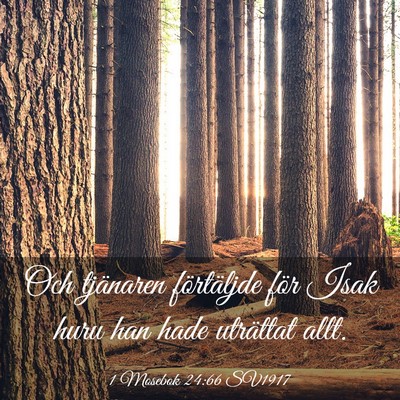 Picture 03 - 1 Mosebok 24:66 SV1917 - Och tjänaren förtäljde för Isak huru han hade - Bible Verse Picture