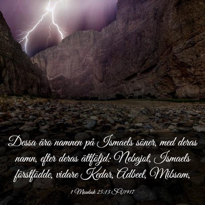 Picture 03 - 1 Mosebok 25:13 SV1917 - Dessa äro namnen på Ismaels söner, med deras - Bible Verse Picture