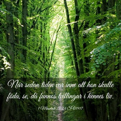 Picture 03 - 1 Mosebok 25:24 SV1917 - När sedan tiden var inne att hon skulle föda, - Bible Verse Picture