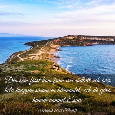 Picture 03 - 1 Mosebok 25:25 SV1917 - Den som först kom fram var rödlätt och över - Bible Verse Picture