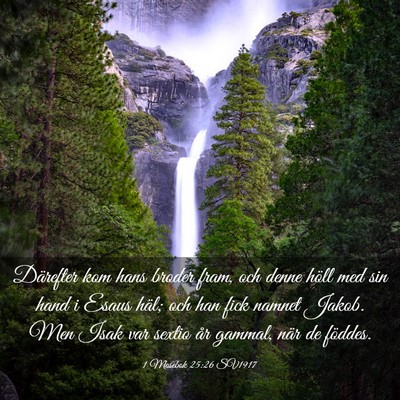 Picture 03 - 1 Mosebok 25:26 SV1917 - Därefter kom hans broder fram, och denne höll - Bible Verse Picture