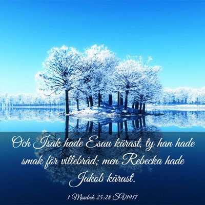 Picture 03 - 1 Mosebok 25:28 SV1917 - Och Isak hade Esau kärast, ty han hade smak för - Bible Verse Picture