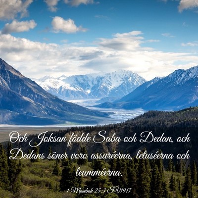 Picture 03 - 1 Mosebok 25:3 SV1917 - Och Joksan födde Saba och Dedan, och Dedans - Bible Verse Picture