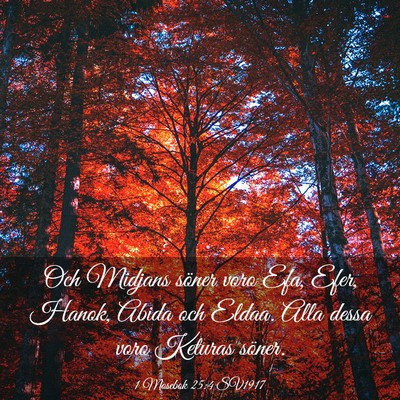 Picture 03 - 1 Mosebok 25:4 SV1917 - Och Midjans söner voro Efa, Efer, Hanok, Abida - Bible Verse Picture