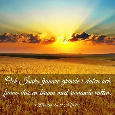 Picture 03 - 1 Mosebok 26:19 SV1917 - Och Isaks tjänare grävde i dalen och funno där - Bible Verse Picture