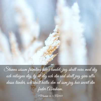 Picture 03 - 1 Mosebok 26:3 SV1917 - Stanna såsom främling här i landet; jag skall - Bible Verse Picture