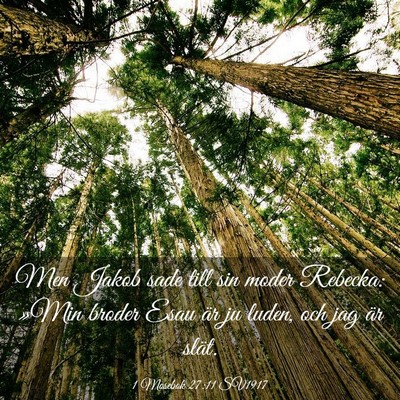 Picture 03 - 1 Mosebok 27:11 SV1917 - Men Jakob sade till sin moder Rebecka: »Min - Bible Verse Picture