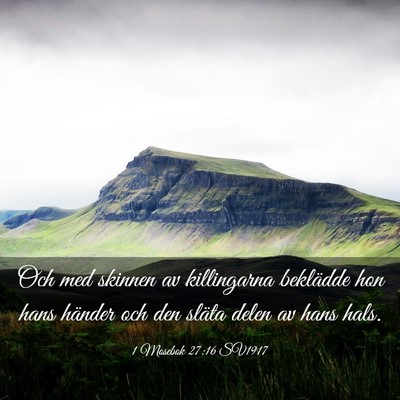 Picture 03 - 1 Mosebok 27:16 SV1917 - Och med skinnen av killingarna beklädde hon hans - Bible Verse Picture