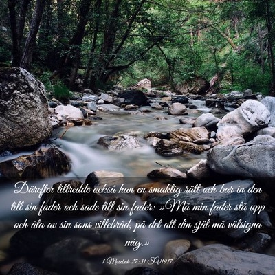Picture 03 - 1 Mosebok 27:31 SV1917 - Därefter tillredde också han en smaklig rätt - Bible Verse Picture