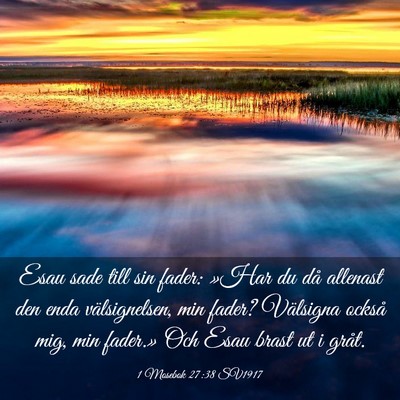 Picture 03 - 1 Mosebok 27:38 SV1917 - Esau sade till sin fader: »Har du då allenast - Bible Verse Picture