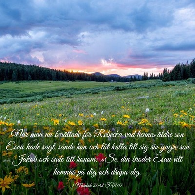 Picture 03 - 1 Mosebok 27:42 SV1917 - När man nu berättade för Rebecka vad hennes - Bible Verse Picture