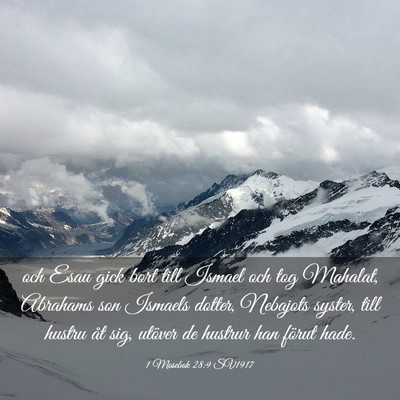 Picture 03 - 1 Mosebok 28:9 SV1917 - och Esau gick bort till Ismael och tog Mahalat, - Bible Verse Picture