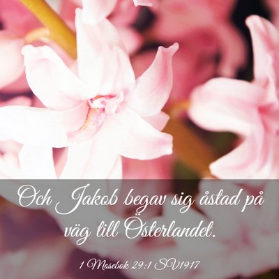 Picture 03 - 1 Mosebok 29:1 SV1917 - Och Jakob begav sig åstad på väg till - Bible Verse Picture