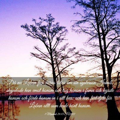Picture 03 - 1 Mosebok 29:13 SV1917 - Då nu Laban fick höras talas om sin systerson - Bible Verse Picture