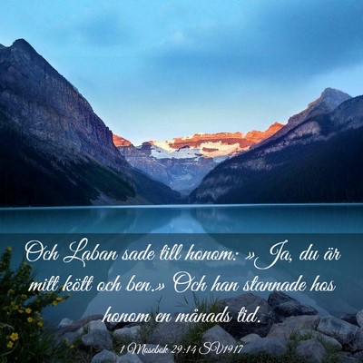 Picture 03 - 1 Mosebok 29:14 SV1917 - Och Laban sade till honom: »Ja, du är mitt - Bible Verse Picture
