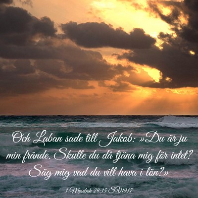 Picture 03 - 1 Mosebok 29:15 SV1917 - Och Laban sade till Jakob: »Du är ju min - Bible Verse Picture