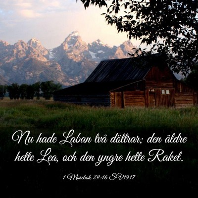 Picture 03 - 1 Mosebok 29:16 SV1917 - Nu hade Laban två döttrar; den äldre hette - Bible Verse Picture