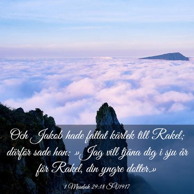 Picture 03 - 1 Mosebok 29:18 SV1917 - Och Jakob hade fattat kärlek till Rakel; - Bible Verse Picture