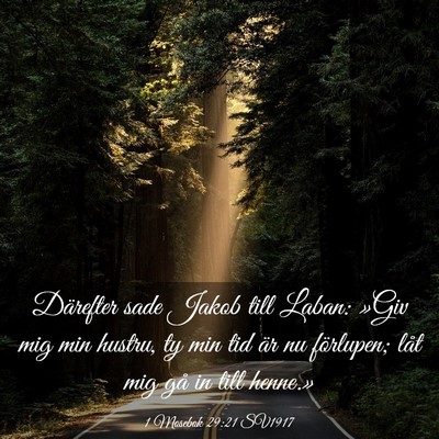 Picture 03 - 1 Mosebok 29:21 SV1917 - Därefter sade Jakob till Laban: »Giv mig min - Bible Verse Picture