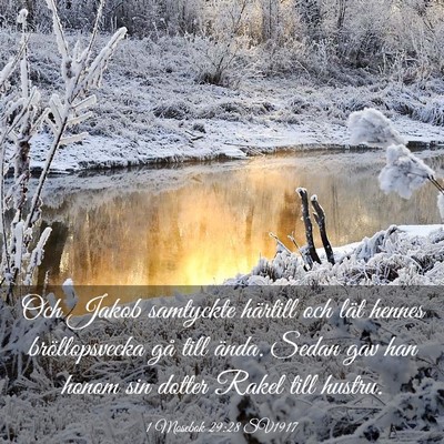 Picture 03 - 1 Mosebok 29:28 SV1917 - Och Jakob samtyckte härtill och lät hennes - Bible Verse Picture