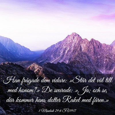 Picture 03 - 1 Mosebok 29:6 SV1917 - Han frågade dem vidare: »Står det väl till - Bible Verse Picture