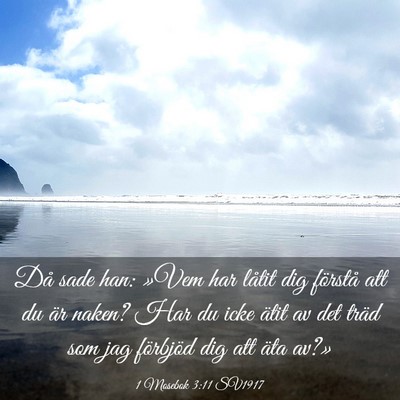 Picture 03 - 1 Mosebok 3:11 SV1917 - Då sade han: »Vem har låtit dig förstå att - Bible Verse Picture