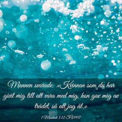 Picture 03 - 1 Mosebok 3:12 SV1917 - Mannen svarade: »Kvinnan som du har givit mig - Bible Verse Picture