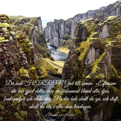 Picture 03 - 1 Mosebok 3:14 SV1917 - Då sade HERREN Gud till ormen: »Eftersom du har - Bible Verse Picture