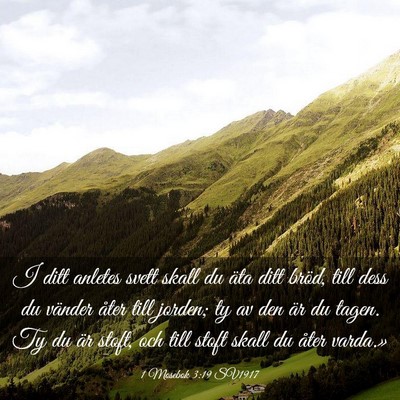 Picture 03 - 1 Mosebok 3:19 SV1917 - I ditt anletes svett skall du äta ditt bröd, - Bible Verse Picture