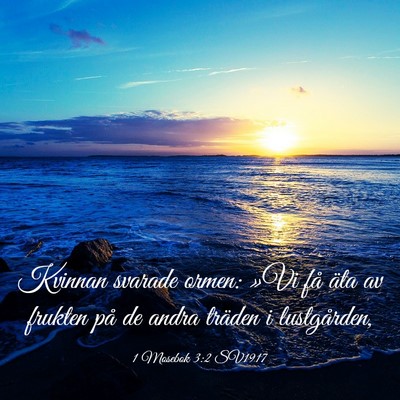 Picture 03 - 1 Mosebok 3:2 SV1917 - Kvinnan svarade ormen: »Vi få äta av frukten - Bible Verse Picture