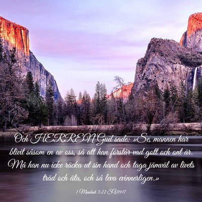 Picture 03 - 1 Mosebok 3:22 SV1917 - Och HERREN Gud sade: »Se, mannen har blivit - Bible Verse Picture