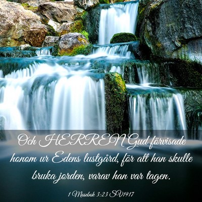 Picture 03 - 1 Mosebok 3:23 SV1917 - Och HERREN Gud förvisade honom ur Edens - Bible Verse Picture