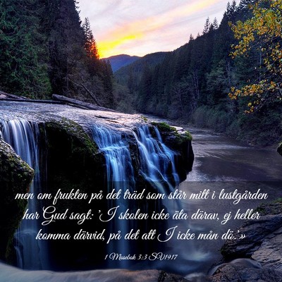 Picture 03 - 1 Mosebok 3:3 SV1917 - men om frukten på det träd som står mitt i - Bible Verse Picture