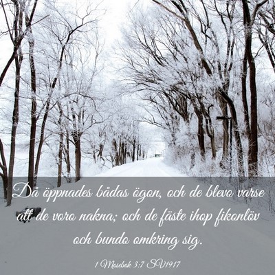 Picture 03 - 1 Mosebok 3:7 SV1917 - Då öppnades bådas ögon, och de blevo varse - Bible Verse Picture