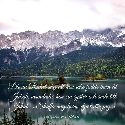 Picture 03 - 1 Mosebok 30:1 SV1917 - Då nu Rakel såg att hon icke födde barn åt - Bible Verse Picture