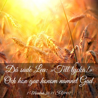 Picture 03 - 1 Mosebok 30:11 SV1917 - Då sade Lea: »Till lycka!» Och hon gav honom - Bible Verse Picture