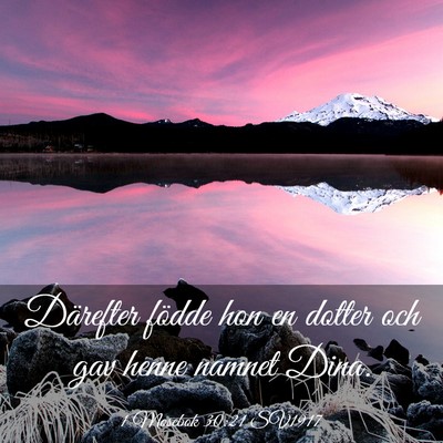 Picture 03 - 1 Mosebok 30:21 SV1917 - Därefter födde hon en dotter och gav henne - Bible Verse Picture